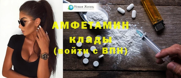 ECSTASY Лагань