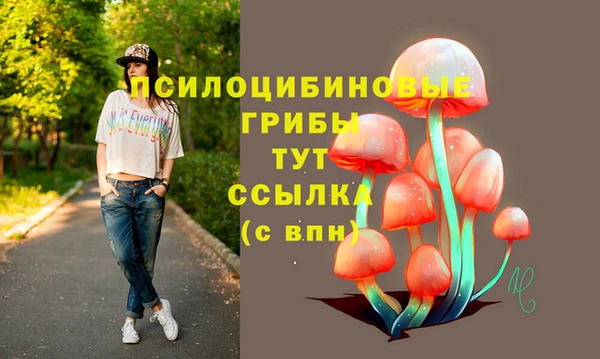 ECSTASY Лагань