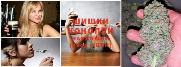 ECSTASY Лагань